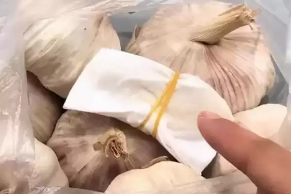 大蒜能否放在冰箱存放,大蒜能放冰箱吗插图3