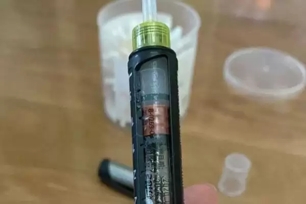 宠物低血糖应该怎么解决和处理,宠物低血糖应该怎么解决插图2 宠物低血糖应该怎么解决和处理,宠物低血糖应该怎么解决插图2