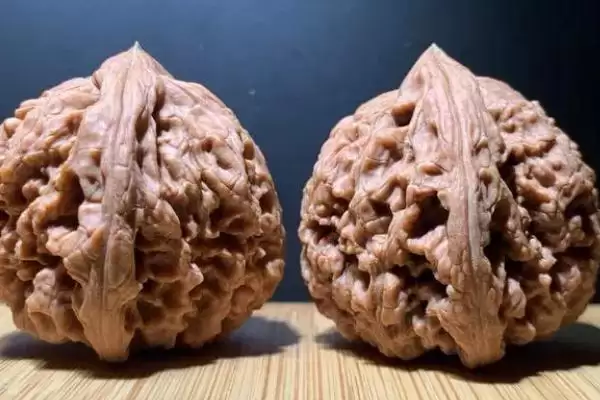帝王狮子头核桃的介绍,帝王狮子头核桃是怎样的文玩核桃插图2 帝王狮子头核桃的介绍,帝王狮子头核桃是怎样的文玩核桃插图2