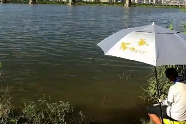 钓大鱼的钓层选择情况,钓大鱼要钓浮还是钓底如何选择插图2 钓大鱼的钓层选择情况,钓大鱼要钓浮还是钓底如何选择插图2