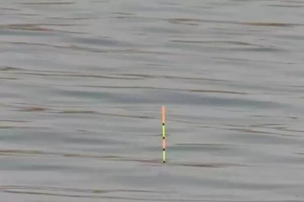 钓罗非鱼的调钓方法选择,钓罗非鱼适合调几钓几的方法插图1 钓罗非鱼的调钓方法选择,钓罗非鱼适合调几钓几的方法插图1