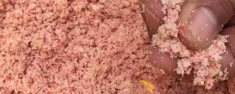 大野战腥味版饵料的介绍,大野战腥味版饵料是怎样的鱼饵插图 大野战腥味版饵料的介绍,大野战腥味版饵料是怎样的鱼饵插图