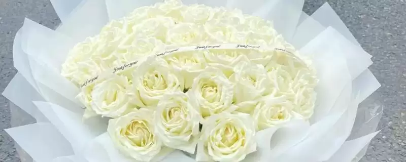表白送什么花比较合适呢,表白送什么花好插图 表白送什么花比较合适呢,表白送什么花好插图