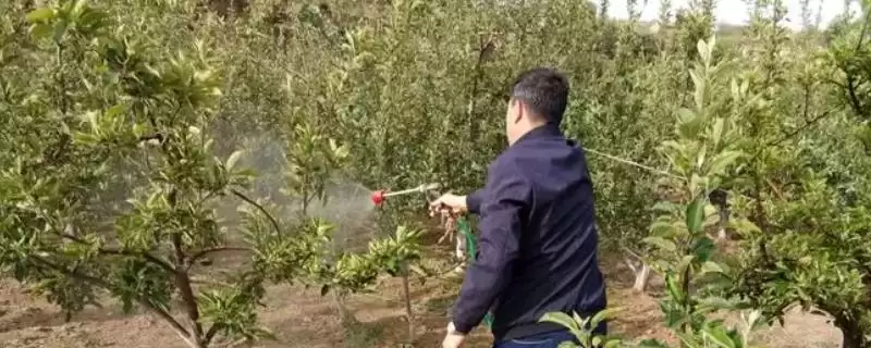 打错农药后有什么补救的方法呢,打错农药的补救方法-会东网