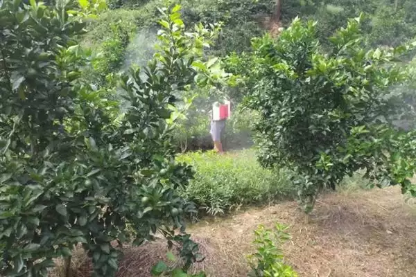 苯肽胺酸的使用方法是怎样呢,苯肽胺酸怎么使用插图2 苯肽胺酸的使用方法是怎样呢,苯肽胺酸怎么使用插图2