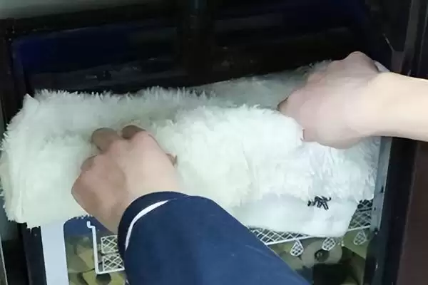 鱼缸过滤棉脏了及时清洗多久洗一次详细解答插图1 鱼缸过滤棉脏了及时清洗多久洗一次详细解答插图1