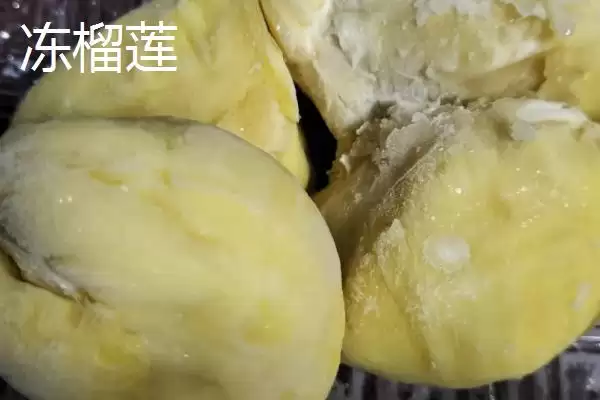 冻榴莲和鲜榴莲区别,冻榴莲和新鲜榴莲有哪些方面的区别插图1 冻榴莲和鲜榴莲区别,冻榴莲和新鲜榴莲有哪些方面的区别插图1