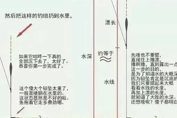 顿口清晰的调钓方法,顿口最清楚的是调几钓几的方法插图3 顿口清晰的调钓方法,顿口最清楚的是调几钓几的方法插图3