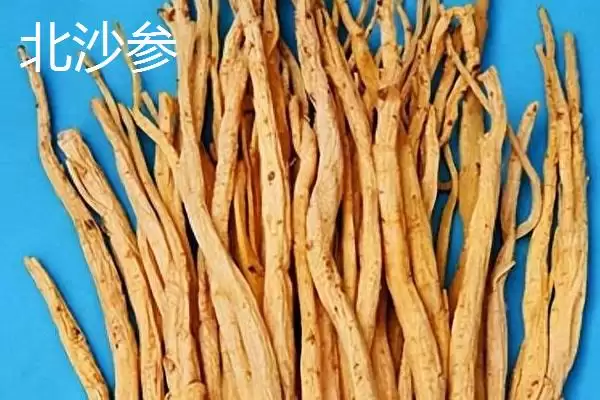 北沙参和南沙参有哪些方面的区别呢,北沙参和南沙参有什么区别插图1 北沙参和南沙参有哪些方面的区别呢,北沙参和南沙参有什么区别插图1