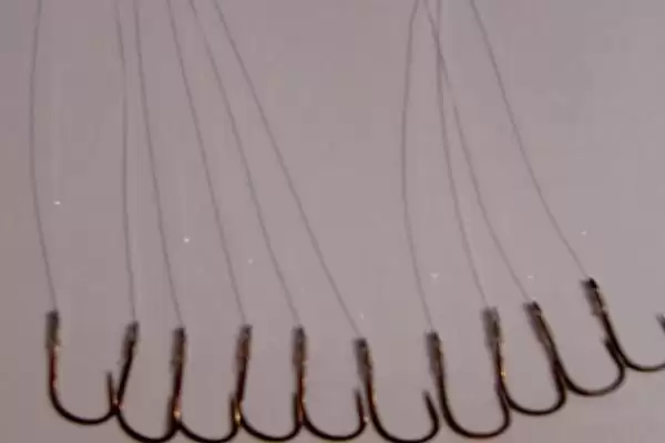 钓鲢鳙的子线选择类型,钓鲢鳙用什么类型的子线比较合适插图1 钓鲢鳙的子线选择类型,钓鲢鳙用什么类型的子线比较合适插图1