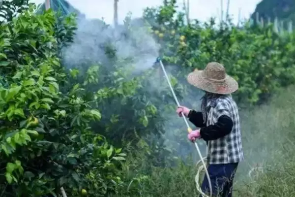 除草剂有哪些不同的分类方式呢,除草剂的分类插图3 除草剂有哪些不同的分类方式呢,除草剂的分类插图3