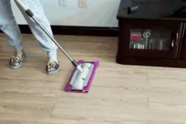 去除猫尿骚味选何吸味猫砂?插图4 去除猫尿骚味选何吸味猫砂?插图4