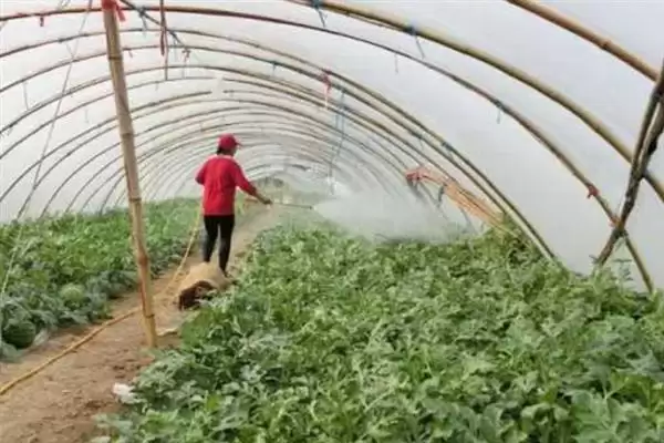 苯肽胺酸的使用方法是怎样呢,苯肽胺酸怎么使用插图3 苯肽胺酸的使用方法是怎样呢,苯肽胺酸怎么使用插图3