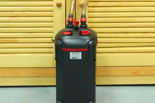 成品鱼缸与裸缸相比有何优缺点,成品鱼缸与裸缸对比插图3 成品鱼缸与裸缸相比有何优缺点,成品鱼缸与裸缸对比插图3
