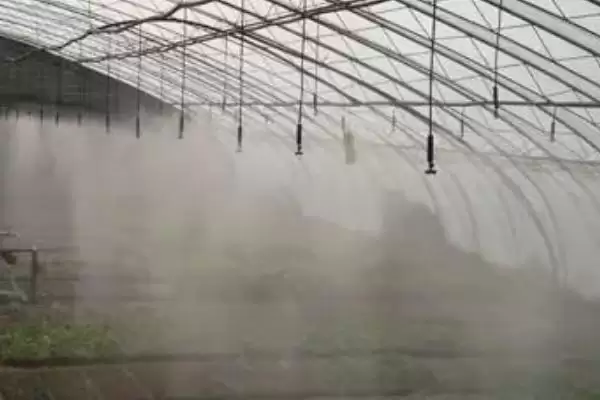 大棚降温的最佳方案是什么样,大棚降温的最佳方案插图3 大棚降温的最佳方案是什么样,大棚降温的最佳方案插图3