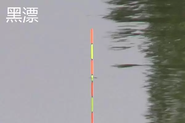 钓鱼的漂相技巧分析,钓鱼漂相有哪些值得关注的技巧插图1 钓鱼的漂相技巧分析,钓鱼漂相有哪些值得关注的技巧插图1