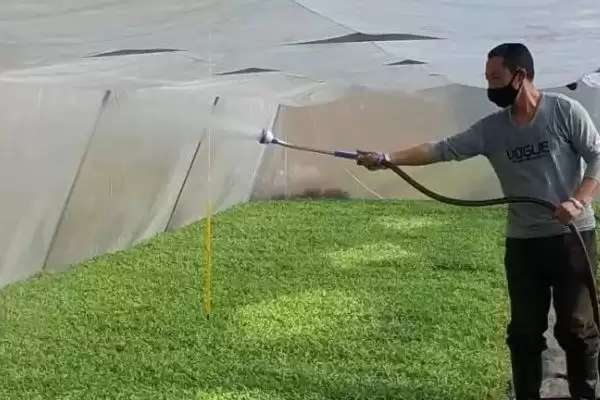 大棚蔬菜浇水有哪些实用技巧,大棚蔬菜浇水技巧插图1 大棚蔬菜浇水有哪些实用技巧,大棚蔬菜浇水技巧插图1