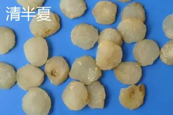 半夏有哪些不同的种类呢,半夏的种类插图4 半夏有哪些不同的种类呢,半夏的种类插图4