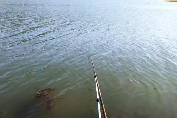 春季钓鲤鱼选什么位置比较好呢,春季钓鲤鱼选什么位置插图1 春季钓鲤鱼选什么位置比较好呢,春季钓鲤鱼选什么位置插图1