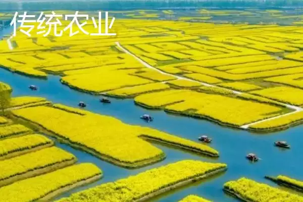 传统农业和现代农业有何区别呢,传统农业和现代农业的区别插图1 传统农业和现代农业有何区别呢,传统农业和现代农业的区别插图1