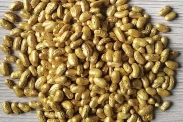 秋豆角在北方通常何时进行种植?插图4 秋豆角在北方通常何时进行种植?插图4
