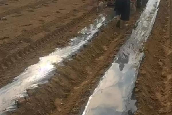 大棚地膜覆盖存在哪些误区呢,大棚地膜覆盖误区插图12 大棚地膜覆盖存在哪些误区呢,大棚地膜覆盖误区插图12