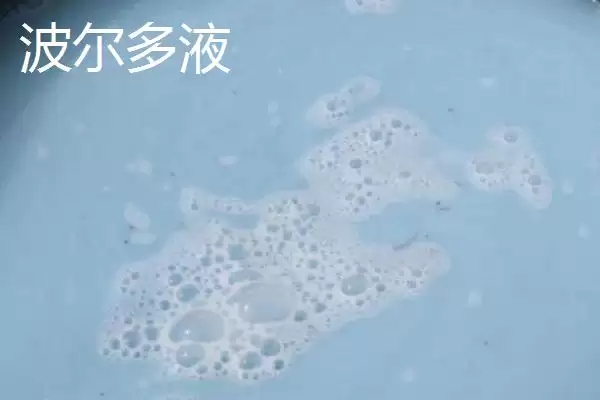 波尔多液的使用方法是怎样呢,波尔多液使用方法插图2