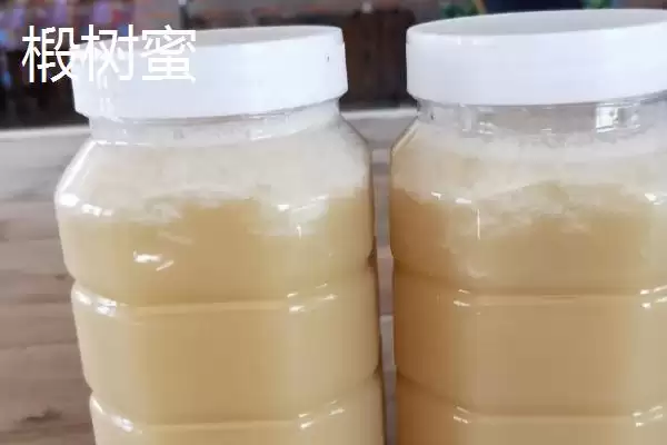椴树蜜的市场价格,椴树蜜的价格大约在什么范围插图2 椴树蜜的市场价格,椴树蜜的价格大约在什么范围插图2