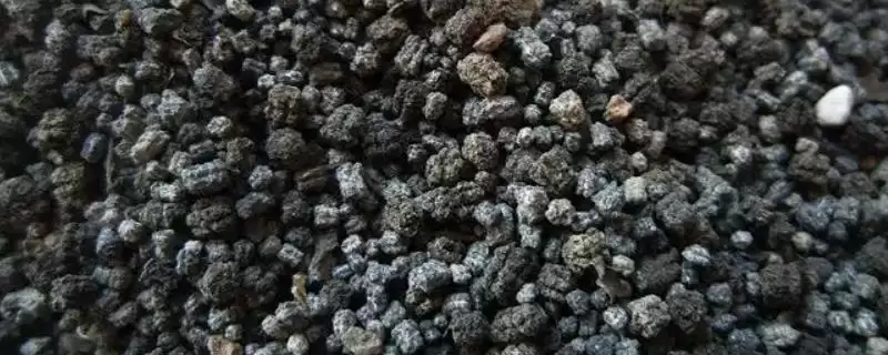 蚕屎如何发酵成有机肥呢,蚕屎如何发酵成有机肥插图 蚕屎如何发酵成有机肥呢,蚕屎如何发酵成有机肥插图