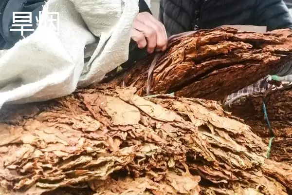 山西原平市有何特产及市场好评?插图2 山西原平市有何特产及市场好评?插图2