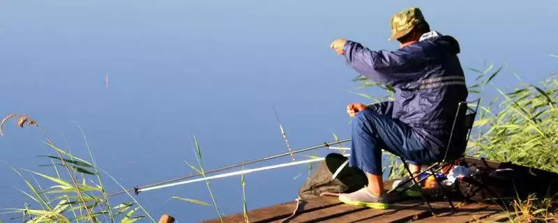 春季钓鲤鱼选什么位置比较好呢,春季钓鲤鱼选什么位置-会东网