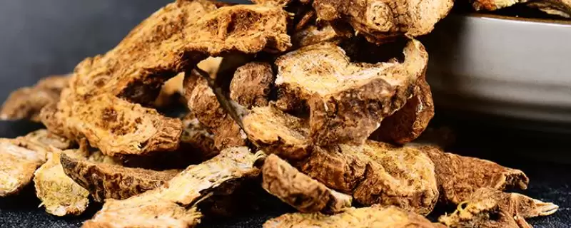 苍术种子的价格是多少钱一斤呢,苍术种子的价格插图 苍术种子的价格是多少钱一斤呢,苍术种子的价格插图
