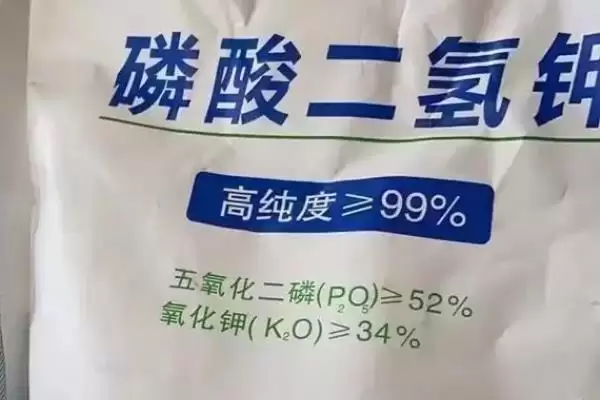 吊兰黄叶的原因及解决措施,吊兰黄叶的原因及解决方法有哪些插图1 吊兰黄叶的原因及解决措施,吊兰黄叶的原因及解决方法有哪些插图1