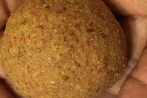 地笼捕罗非鱼的方法技巧,地笼怎么快速捕罗非鱼有何方法插图7 地笼捕罗非鱼的方法技巧,地笼怎么快速捕罗非鱼有何方法插图7
