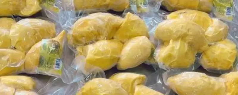 冻榴莲和鲜榴莲区别,冻榴莲和新鲜榴莲有哪些方面的区别插图 冻榴莲和鲜榴莲区别,冻榴莲和新鲜榴莲有哪些方面的区别插图