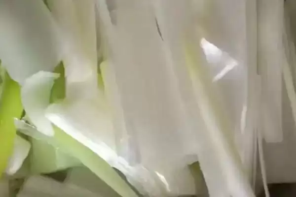 葱白是葱的哪个部分及是什么呢,葱白是什么插图2 葱白是葱的哪个部分及是什么呢,葱白是什么插图2