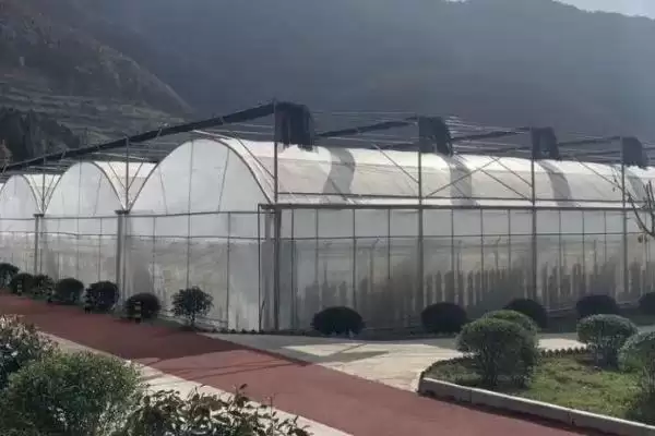 温室棚膜滴水是质量差导致的吗?插图1 温室棚膜滴水是质量差导致的吗?插图1