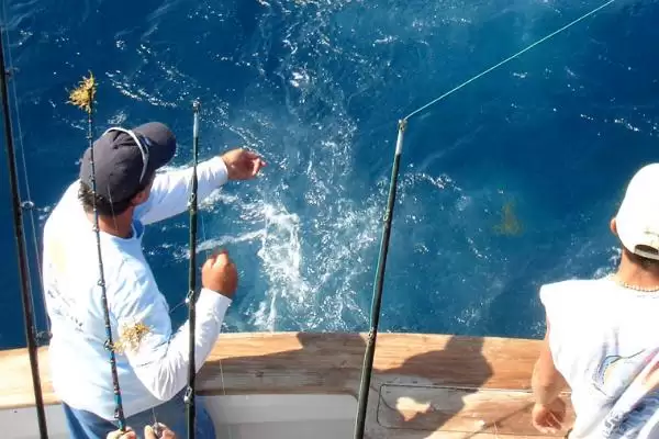 海钓在大海中钓鱼有何相关介绍?插图3 海钓在大海中钓鱼有何相关介绍?插图3