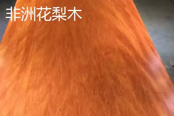 刺猬紫檀和非洲花梨木有何区别,刺猬紫檀和非洲花梨木有什么区别插图2 刺猬紫檀和非洲花梨木有何区别,刺猬紫檀和非洲花梨木有什么区别插图2