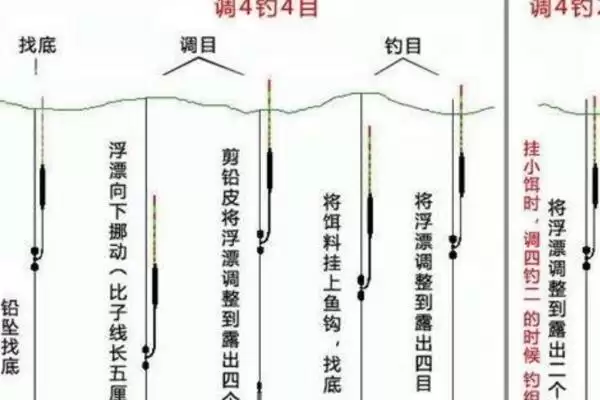 传统钓立漂用什么漂比较好呢,传统钓立漂用什么漂好插图2