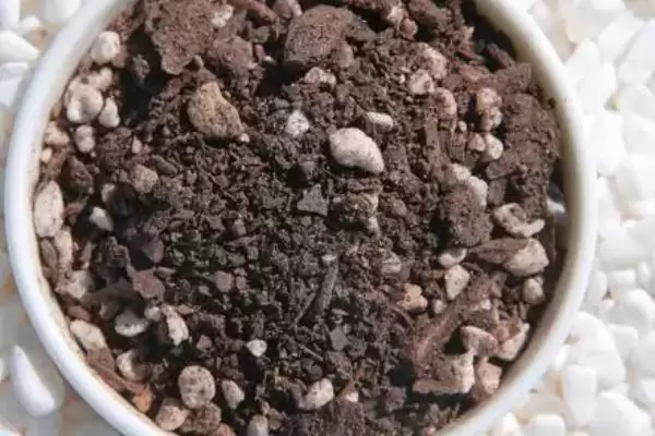 多肉植物的用土要求,多肉植物用土在配制上有何不同要求插图1 多肉植物的用土要求,多肉植物用土在配制上有何不同要求插图1
