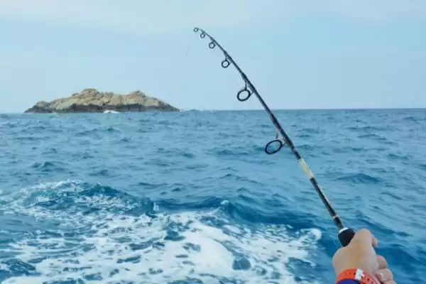 海钓在大海中钓鱼有何相关介绍?插图1 海钓在大海中钓鱼有何相关介绍?插图1