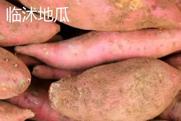 山东省临沭县有何特产及市场声誉？插图3
