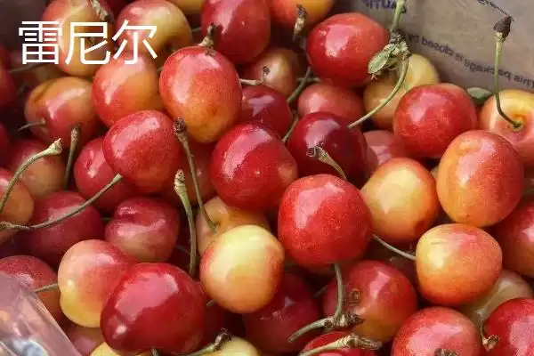 车厘子3j和4j分别代表什么呢,车厘子3j和4j代表的含义插图6 车厘子3j和4j分别代表什么呢,车厘子3j和4j代表的含义插图6