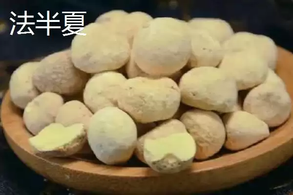 半夏有哪些不同的种类呢,半夏的种类插图2 半夏有哪些不同的种类呢,半夏的种类插图2