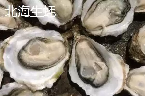 北海生蚝的产地在什么地方呢,北海生蚝产于哪里插图3 北海生蚝的产地在什么地方呢,北海生蚝产于哪里插图3