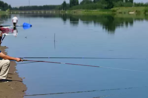 钓鲶鱼的打窝时间要求,钓鲶鱼要提前几天进行打窝插图6 钓鲶鱼的打窝时间要求,钓鲶鱼要提前几天进行打窝插图6