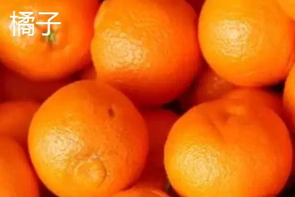橙子和橘子有哪些方面的区别呢,橙子和橘子的区别插图2