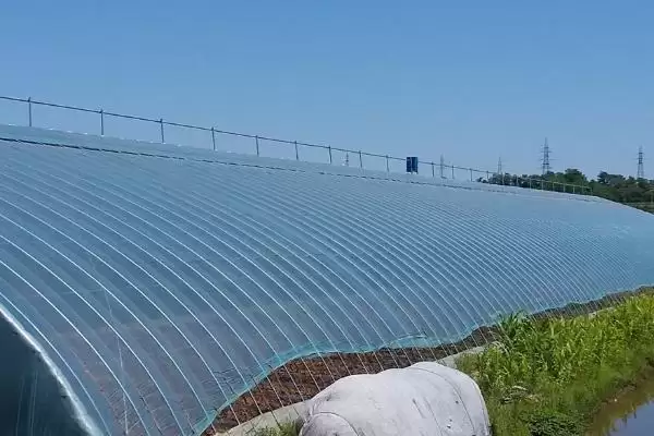 温室棚膜滴水是质量差导致的吗?插图6 温室棚膜滴水是质量差导致的吗?插图6
