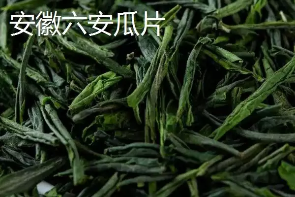 茶树育种如何鉴定品质和方法呢,茶树育种如何鉴定品质插图5 茶树育种如何鉴定品质和方法呢,茶树育种如何鉴定品质插图5